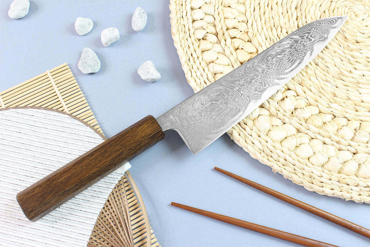 Handcrafted Japanese Chef's Knife 21cm Unagi AUS10
