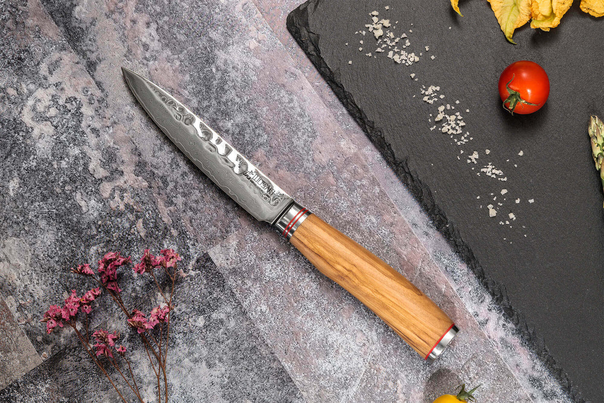 Wusaki Damas Olive 10Cr Knife Case 5 Kitchen Knives